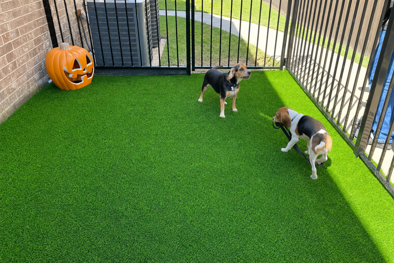 Pet-friendly turf